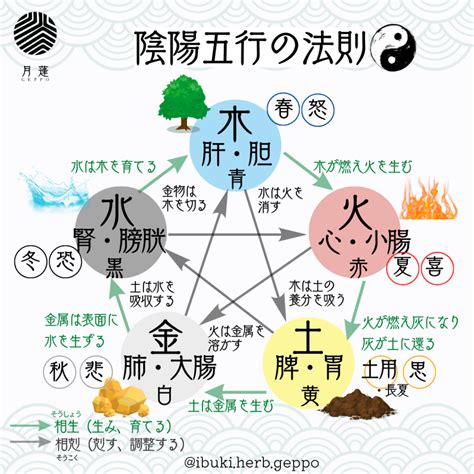 陰陽五行 英文|陰陽道